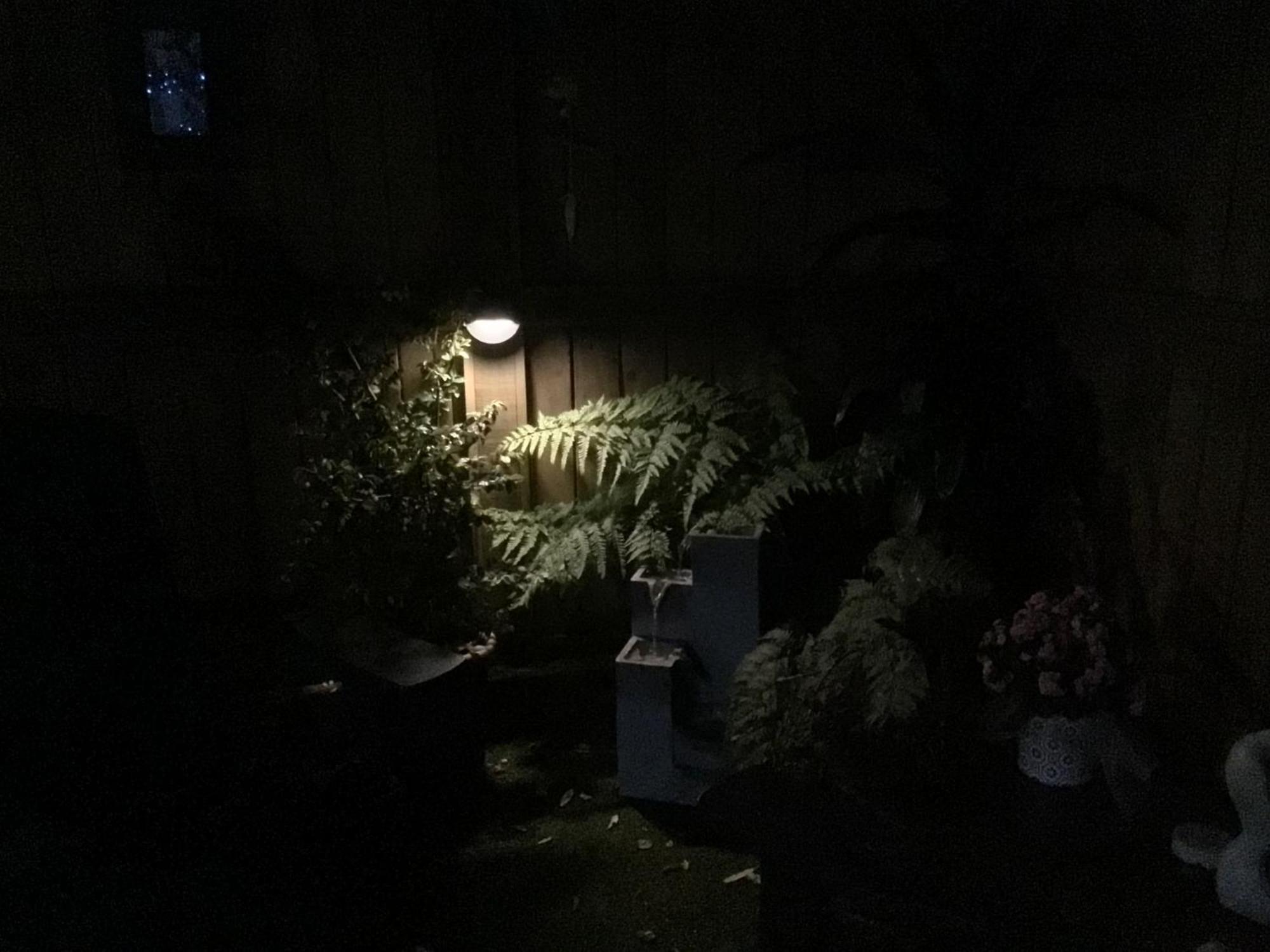 Tranquil Garden Studio Тауранга Экстерьер фото